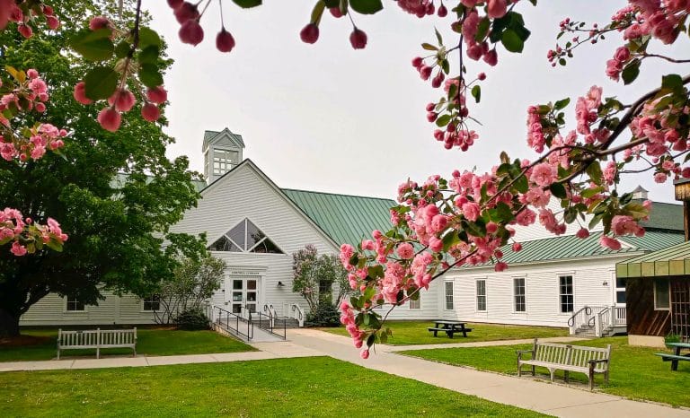 A view of the front doors of the library from across the quad, with an apple tree blooming in the foreground.